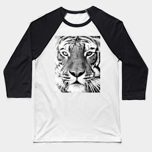 Tiger portrait print Baseball T-Shirt